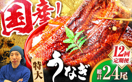 【全12回定期便】国産 九州仕立ての特大うなぎ蒲焼 計400g（200g×2尾）ウナギ 鰻[FDM010]