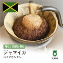 【ふるさと納税】[ 粉 ]#15 受注焙煎！310g ハイマウンテン 珈琲粉 コーヒー粉 自家焙煎 | 珈琲 コーヒー 焙煎 大阪府大東市
