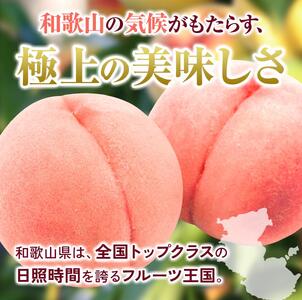 桃 秀品 和歌山の桃　約4kg  ※2026年6月下旬～8月上旬頃順次発送【tec911B】