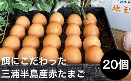 餌にこだわった三浦半島産赤たまご　20個 赤たまごたまご たまご こだわりたまご たまご  [AKET003]