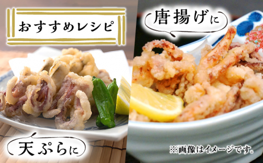 対馬産 スルメイカ ゲソ 2.5kg 【丸徳水産】《対馬市》海産物 新鮮 いかげそ イカゲソ 下足 おつまみ BBQ 惣菜 おかず てんぷら [WAE009]冷凍 簡単調理 肉厚 スルメイカ げそ い