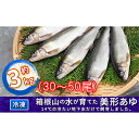 【ふるさと納税】箱根の水が育てた美形あゆ【冷凍 約3kg（30～50尾）】　魚貝類・鮎・アユ