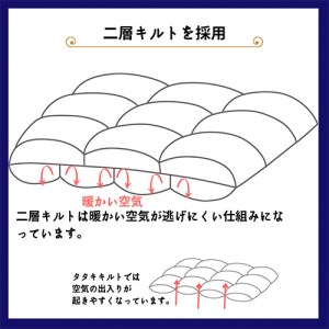 ＜京都金桝＞羽毛布団 ダブル ポーランド産マザーホワイトグースダウン95％ 1.7kg 日本製 冬用 布団 DP420 京都亀岡産 ロワーレ ふるさと納税羽毛布団 新生活羽毛布団 羽毛布団 寝具 掛け
