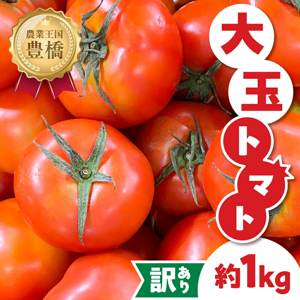 【ふるさと納税】≪先行予約≫ 訳ありトマト 約1kg とまと トマト tomato 野菜 甘み サンドイッチ サラダ 訳あり 訳アリ わけあり ワケアリ 規格外 旬 旬の野菜 健康 愛知県 豊橋市