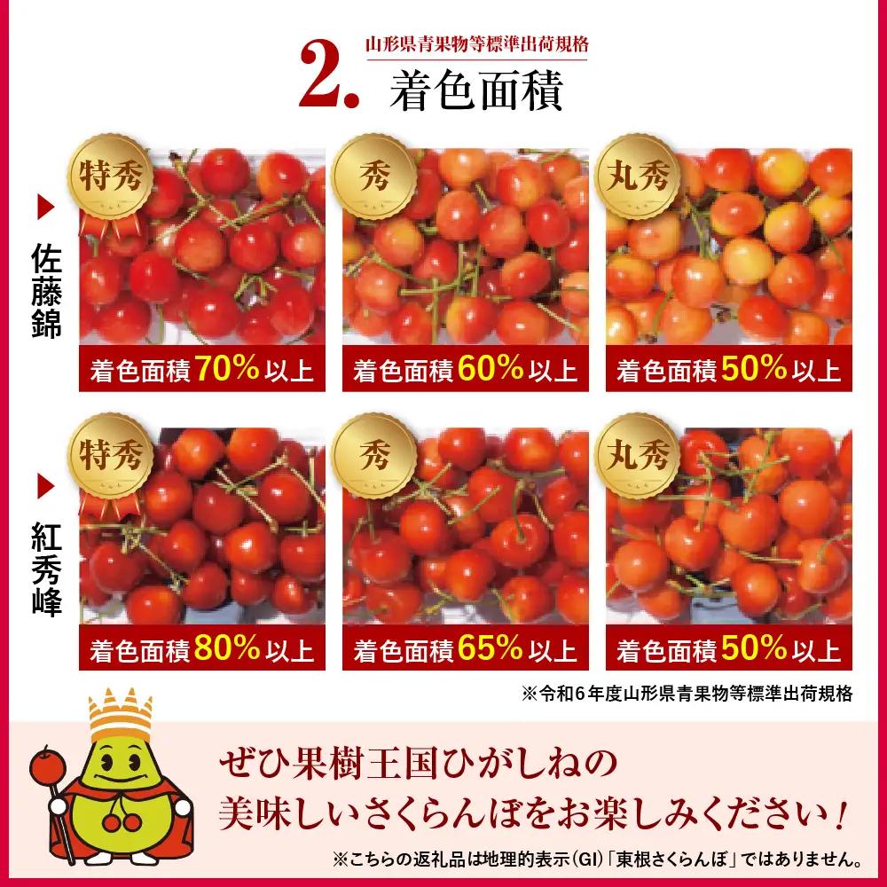 2027年産 4月配送 温室 さくらんぼ 佐藤錦 秀L 300g さくらんぼ