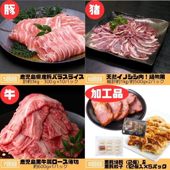 【F90001】＜定期便・全10回＞肝付町セレクト定期便《肉だらけ定期便C》_イメージ4