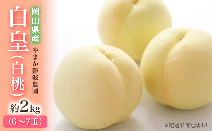 桃 【 2027年 先行予約 】 岡山県産 白皇 （ 白桃 ） 約2kg（6～7玉） 《2027年8月中旬～下旬頃出荷》 白桃 岡山 はくとう フルーツ 果物 先行予約 数量限定 期間限定 里庄町 モモ もも 
