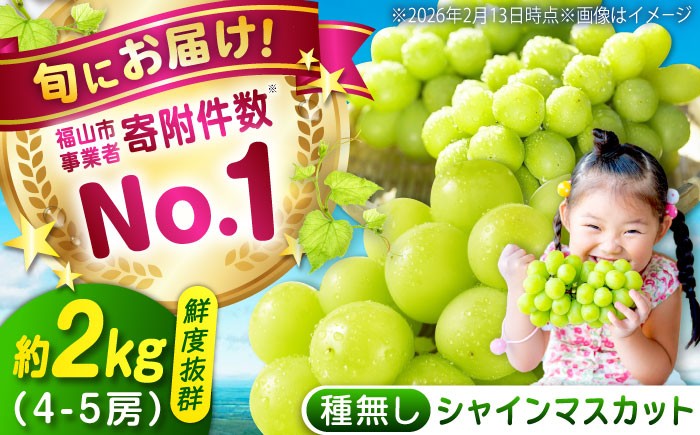 
                  沼隈ぶどう シャインマスカット 約2kg(4〜5房) 9月上旬〜9月下旬頃発送 福山市/福山市農業協同組合 先行予約 数量限定 期間限定 ぶどう ブドウ 葡萄 種なし たねなし 大粒 マスカット シャインマスカット しゃいんますかっと 果物 フルーツ[BAEV004]
                