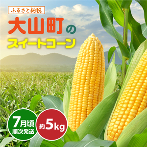 AS-26　大山スイートコーン　等級(秀)　5㎏　10～14本入