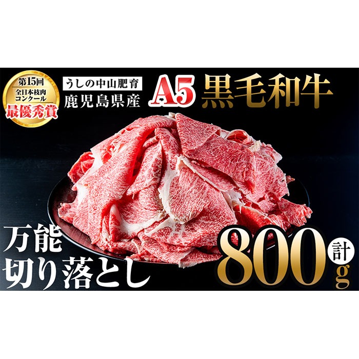 ＜A5等級＞鹿児島県産 黒毛和牛万能切り落とし(計800g /400g×2P) a3-210