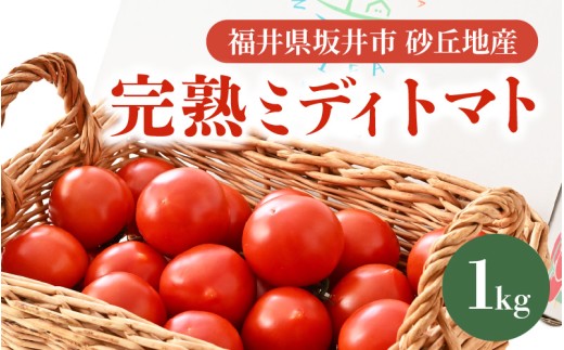 【先行予約】 完熟ミディトマト 1kg 福井県坂井市砂丘地産 農家直送 【2026年6月上旬以降順次発送予定】 とまと トマト ミディトマト 華小町 野菜 生野菜 美容 健康 新鮮 産地直送 国産 [A-22101]