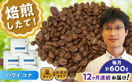 【全12回定期便】ハワイ・コナ　コーヒー豆　200g×3個 (豆)  / コーヒー  ドリップ  豆 / Coffee SAKURA[BBAB061]