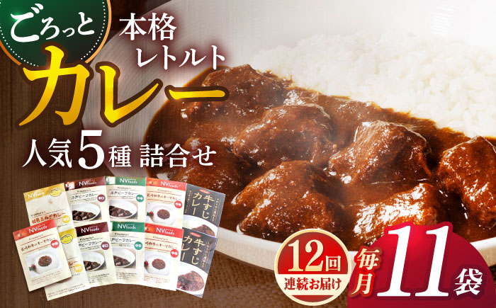 
【全12回定期便】【カレー好きのためのアソートセット】カレー工房NVfoodsのカレー5種（12袋）詰め合わせセット [KAB290]
