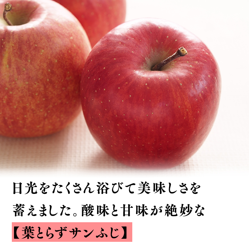 【11～12月発送】贈答用 農家直送 樹上熟成りんご 王林・葉とらずサンふじ 約3kg【平川市産・青森りんご】