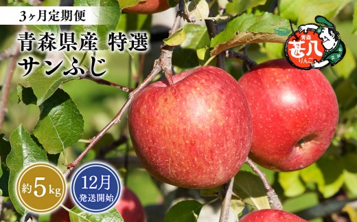
                  【2026年12月発送開始】青森県産 サンふじ りんご 特選 約5kg 3ヶ月定期便 青森りんご 林檎 フルーツ 平川市【hi-0058-179】
                