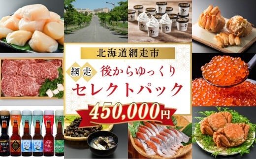 あとからゆっくり、網走セレクトパック 450,000円 【 ふるさと納税 人気 おすすめ ランキング あとから チョイス 選べる ゆっくり かに ほたて いくら しじみ ビール ズワイガニ タラバガニ オホーツク ギフト 贈り物 贈答 北海道 網走市 送料無料 】 ABBG005
