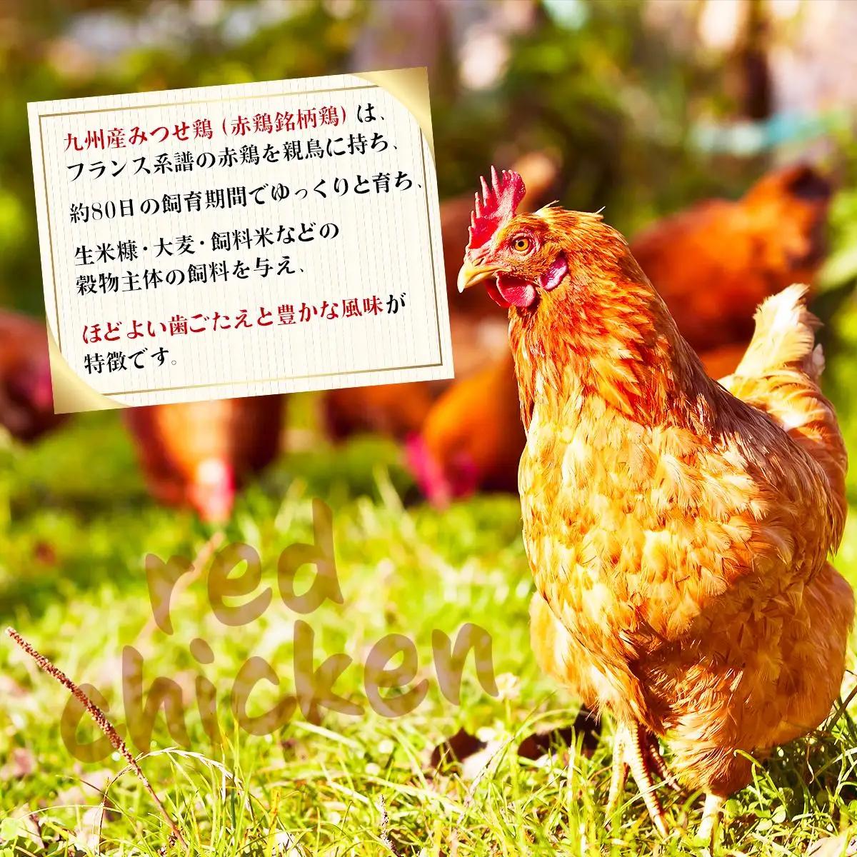 1800g みつせ鶏｢正肉むね｣ B-965