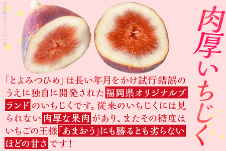 博多とよみつひめ 1,000g（４パック）【2025年8月～9月に発送予定】 CD23
