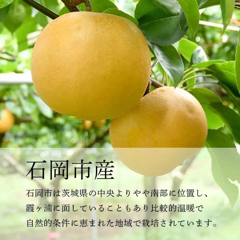 幸水梨 箱込約 5kg（JA新ひたち野）梨 約 12玉 ～ 16玉 (B01-009)