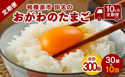 
                  【配送月選択可】相模原市田名のおがわのたまご　ピンク卵 Mサイズ 30個(27個＋割れ補償3個)×10か月| 卵 鶏卵 玉子 たまご 生卵 国産 濃厚 コク 旨味 旨み【10ヶ月定期便】
                