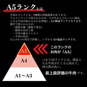 京都府産 黒毛和牛 ロース スライス 500g A4・A5 + ピリ辛ぽん酢 セット【緊急支援】京の肉 ひら山厳選《訳あり コロナ支援 熟成 熟成肉 牛 和牛 肉 牛肉 亀岡牛 京都肉 国産 国産牛 