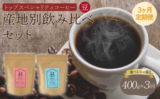 【3ヶ月定期便】 トップ スペシャリティ コーヒー 豆　 珈琲 コーヒー豆 珈琲豆 コーヒー粉 珈琲粉 直火焙煎 飯田珈琲