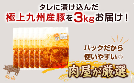 【辛口】九州産豚 タレ漬け 3kg 豚肉 肉 お肉 九州産 味付け 小分け 簡単調理