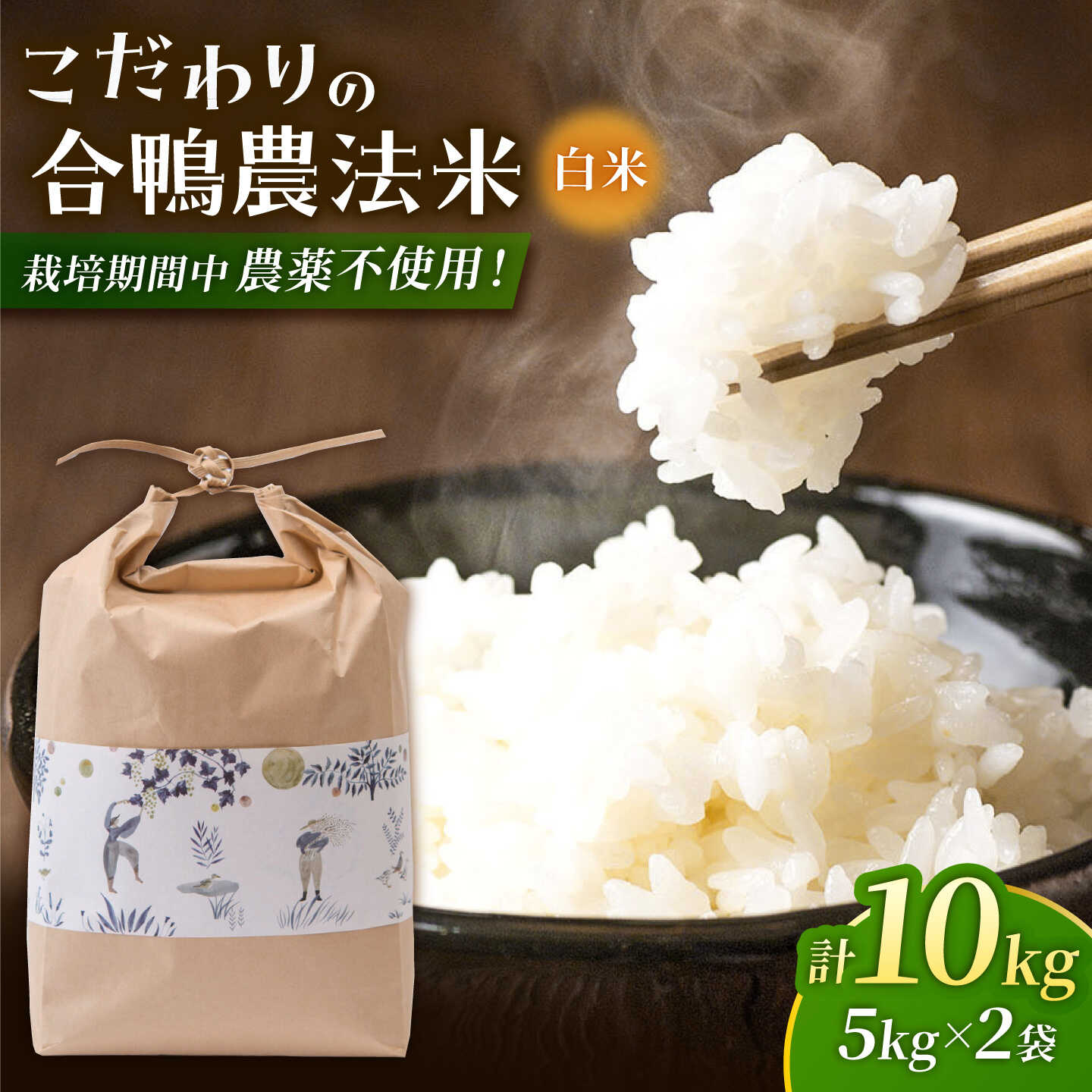 【ふるさと納税】〈令和7年度産米〉合鴨農法米 5kg×2 計10kg 【あいがもん倶楽部】[ZAR027] 令和7年