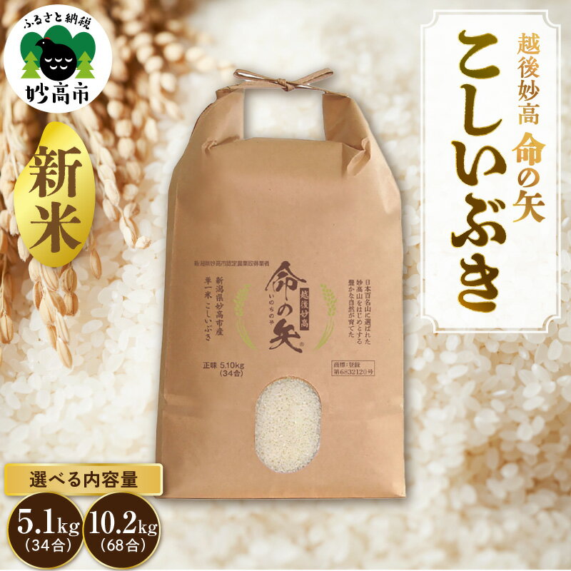 【ふるさと納税】【先行予約】令和8年産 米 越後妙高命の矢 こしいぶき 選べる内容量 5.1kg 10.2kg 越後 妙高 新潟県 上越 妙高産 米どころ 白米 精米 コメ お米 こめ ご飯 ごはん ライス 弁当 小分け 大容量 お取り寄せ 送料無料 妙高市