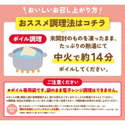 ふるさと納税 福智町 【7営業日以内発送】 どっちのハンバーグ!?デミグラスソース20個セット |  | 03