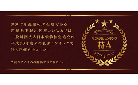 カガヤキ農園 新潟県産 特別栽培米 コシヒカリ 5kg 米 精米 白米 こめ コメ お米 おこめ こしひかり 新潟 新潟県特別栽培農産物認証取得 新潟県