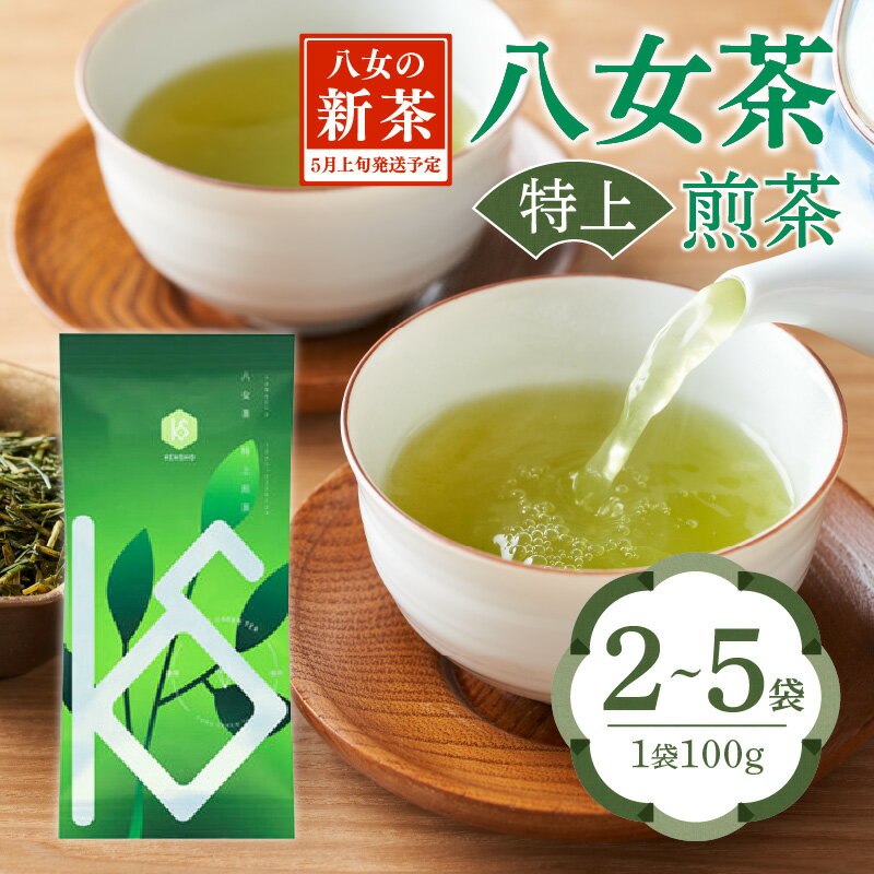【ふるさと納税】【2026年新茶】八女茶 特上煎茶 100g 選べる個数（2袋・3袋・5袋） 八女茶 特上煎茶 100g 茶 お茶 日本茶 緑茶 八女茶 新茶 福岡県 八女市