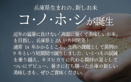 兵庫県産コノホシ (5kg) 米 / 米
