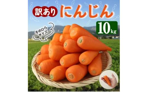 
訳あり にんじん 10kg
