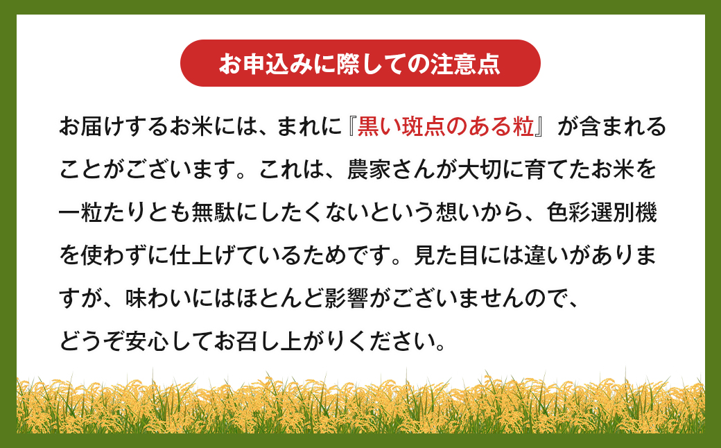 令和７年度 淡路島産キヌヒカリ 5kg （精米）