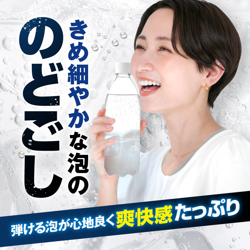 炭酸水 定期便 3ヶ月毎2回 富士山の強炭酸水 500ml 24本 アイ