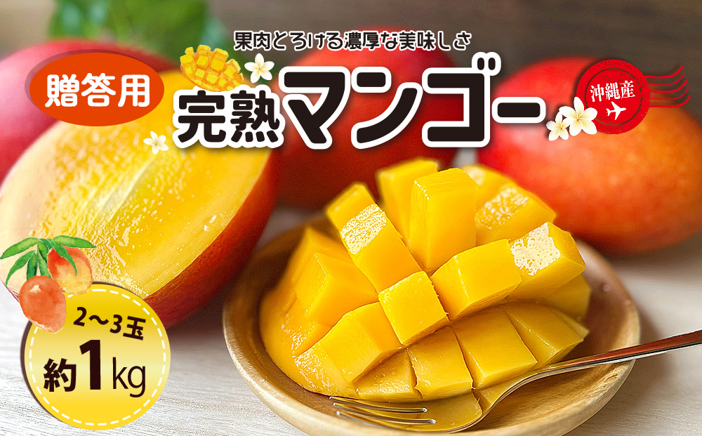 ＜熱帯資源植物研究所＞贈答用マンゴー１kg