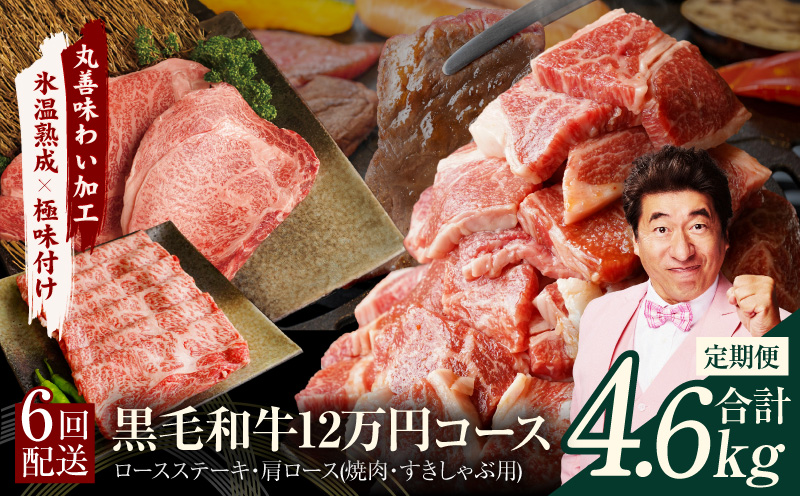 黒毛和牛 定期便 全6回 （ステーキ／焼肉／すき焼き・しゃぶしゃぶ） 12万円コース 丸善味わい加工【毎月配送コース】 mrzZ004