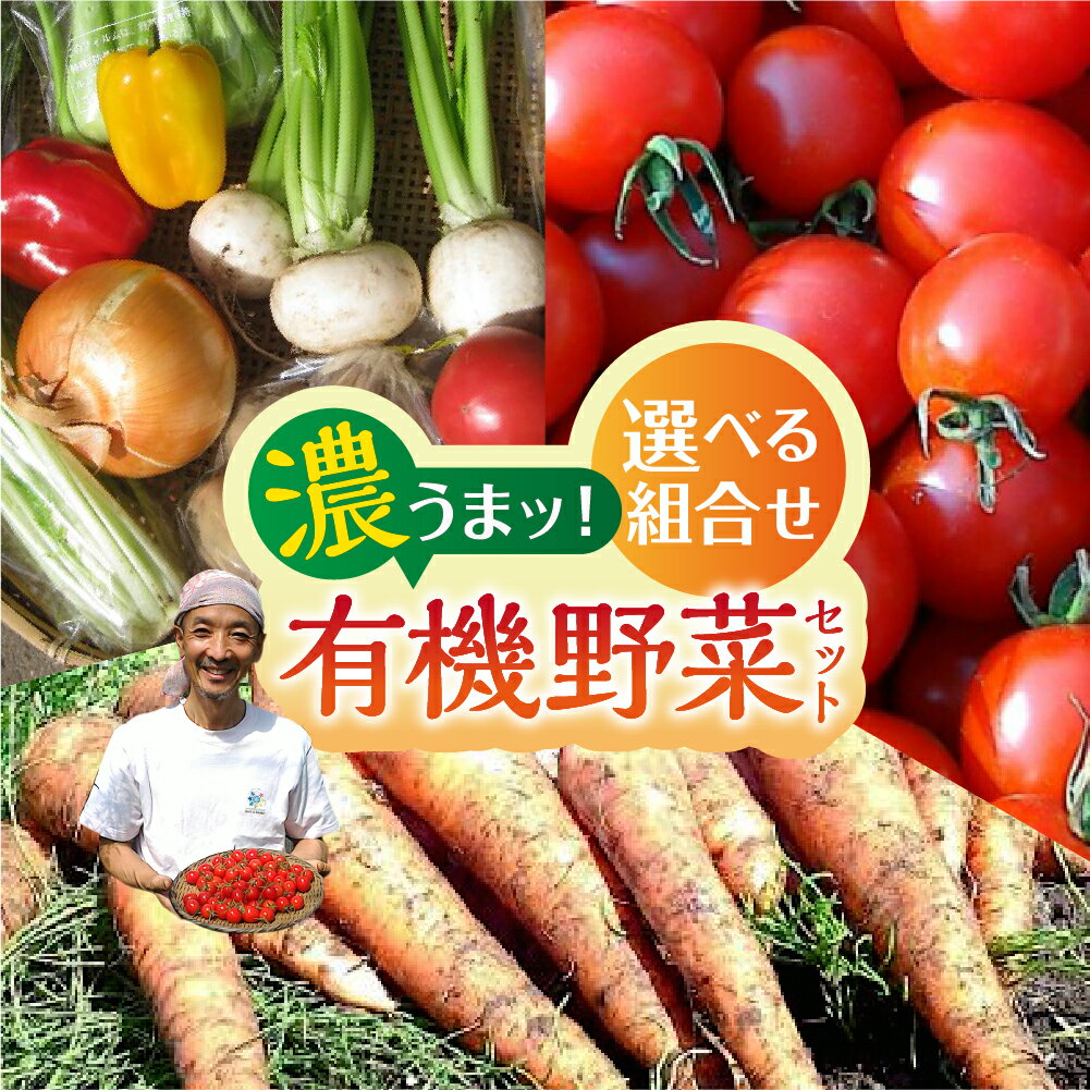 【ふるさと納税】【選べる組み合わせ】濃うまッ！有機野菜セット　野菜の栄養価コンテストグランプリ農家が贈る 無農薬栽培 旬 野菜セット 4品 お試し定期便 詰め合わせ 無農薬 2回お届け 野菜 味噌 定期便 お楽しみ ありがとうファーム [Q795x] 15000円 1万 5千円