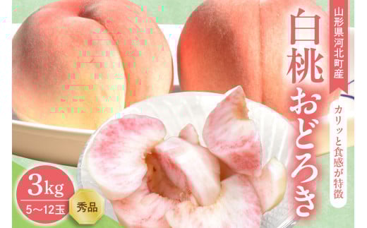 【令和8年産】白桃 おどろき 3kg(5～12玉前後) ギフト用 山形県河北町産 【山形eLab】 ka074-015-r8