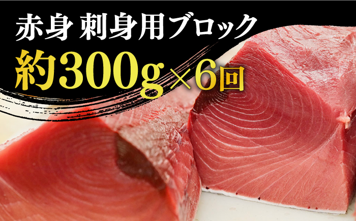 【全6回定期便】【ながさき水産業大賞受賞の新鮮なマグロを冷蔵でお届け！！】五島列島産 養殖 生本かみまぐろ 赤身 300g【カミティバリュー】 [RBP024]