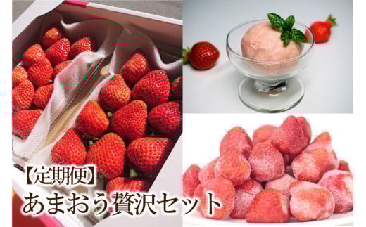 【2026年先行予約】【3回定期便】あまおう贅沢セット(生いちご、冷凍、ジェラート)【044-0065】