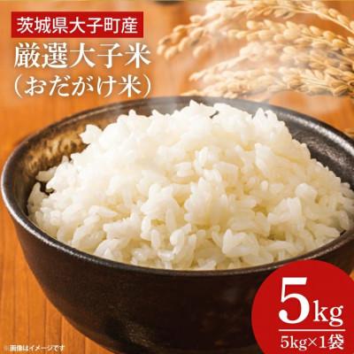 ふるさと納税 大子町 厳選大子米(おだがけ米) コシヒカリ 5kg 白米|茨城県 大子町