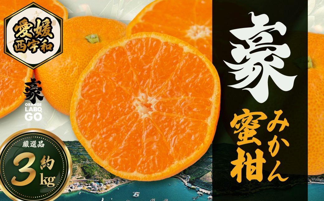 
                  【先行受付】豪 蜜柑　3kg(S～Lサイズ)【C88-2】【1660449】 ふるさと納税 蜜柑 みかん ミカン フルーツ 果物 柑橘 3kg 5kg 産地直送 愛媛県 八幡浜市 送料無料 YWTE002
                
