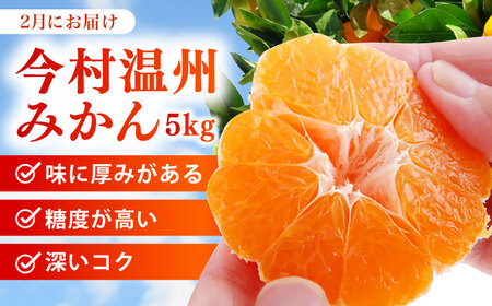 【全2回定期便】 旬のフルーツ定期便 （ みかん ・ いちご ）[HZY101]