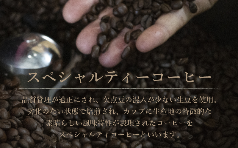 Music Blend コーヒードリップバッグ個別包装セット