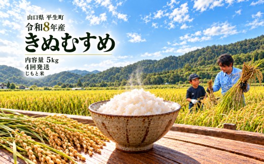 令和8年産 山口県産米 きぬむすめ 5kg 定期配送 4回 ｜定期便 定期発送 令和8年産 きぬむすめ 山口県産米 こめ お米 コメ 白米 米 新米 ごはん 弁当 おにぎり おむすび 朝食 ランチ 主食 精米 地域支援 地元応援 瀬戸内 山口県 平生町 5kg 4回