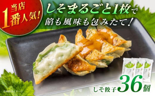 【お中元対象】【3パック】餃子屋ヒロの 人気のしそ餃子 餃子屋ヒロ ぎょうざ ギョーザ 冷凍 小分け 惣菜 おかず つまみ 焼くだけ 簡単調理 ご飯のお供 便利 加工食品 弁当 おつまみ 晩ごはん 神奈川県 開成町 [BDAS003-2]