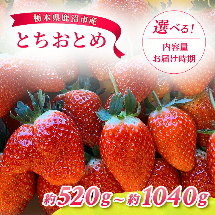 【ふるさと納税】【先行予約】【選べる品種・内容量・発送時期】とちおとめ 2パック / 4パック | いちご 果物 フルーツ デザート スイーツ 苺 イチゴ くだもの 朝取り 新鮮 美味しい 甘い 先行受付