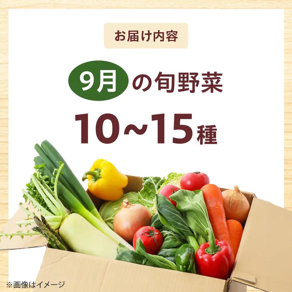 高槻野菜おまかせ詰め合わせセット 9月（10種〜15種）[AOCS015]野菜セット